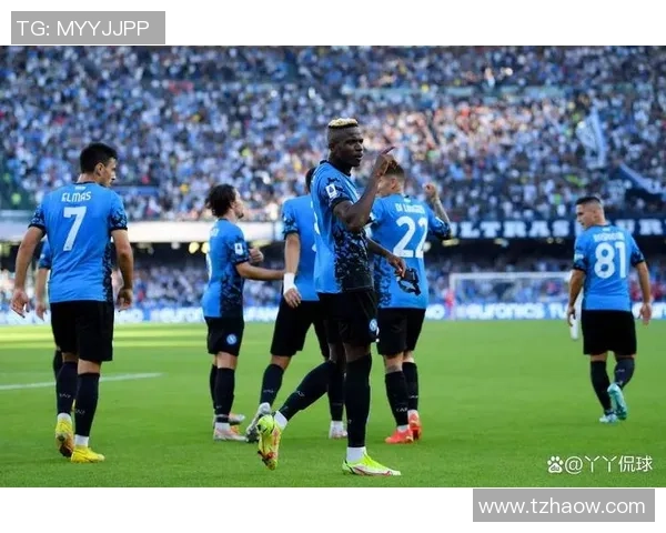 友谊赛精彩对决那不勒斯与里昂2-2平局引发全场热议 友谊赛精彩对决那不勒斯与里昂2-2平局引发全场热议